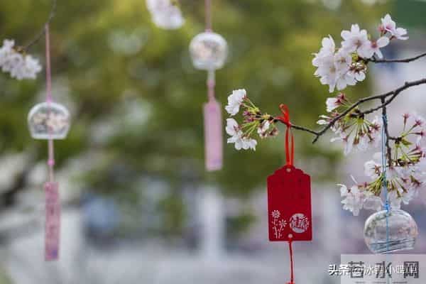 撩中年女人，比情话更管用的，是“折腾”