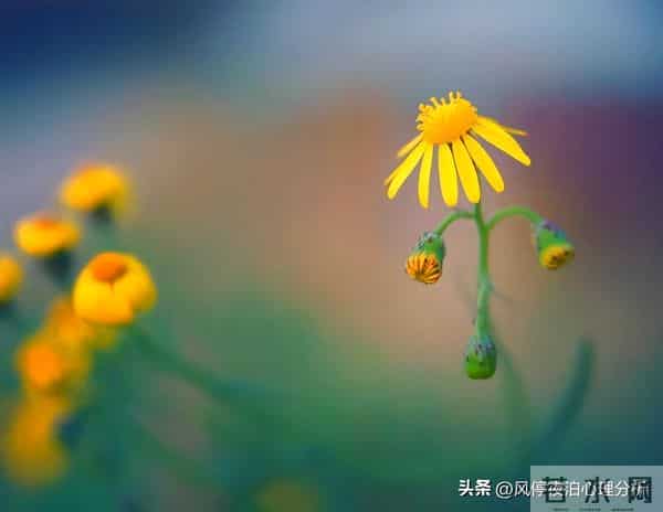 经历过背叛的婚姻：夫妻之间，只是“假性和解”