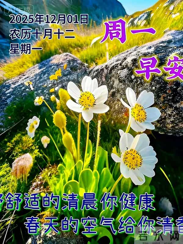 「12月1日」15张冬日早安图片：冬日有梦，幸福安宁