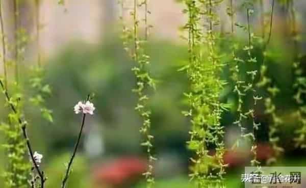 两性关系：男人过60岁，与女人相处牢记这3点，让生活甜如蜜