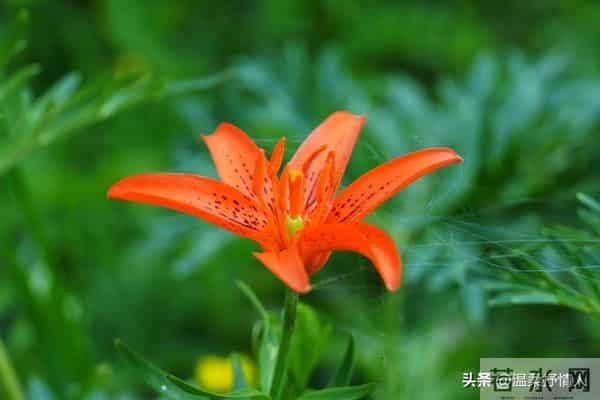 今晚过后霉运清零啦，明天开始，好运要像小尾巴跟着你咯！