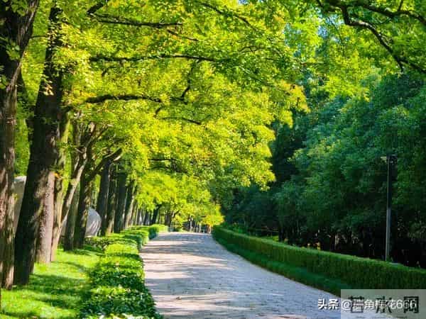 90年去相亲，姑娘见到我，当时就愣住了：你还记得我吗？