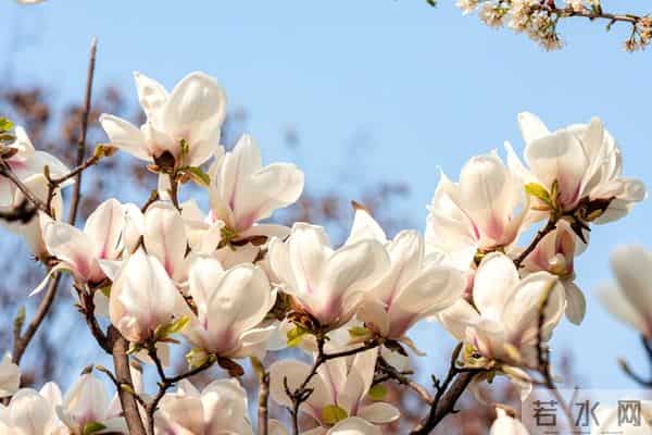 有这些迹象，说明你做事真是太强了！