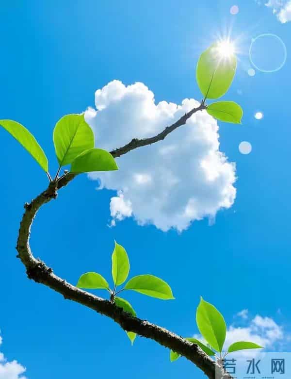 一个扎心真相：不是痛苦选择了你，而是你选择了痛苦