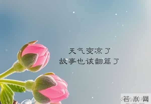 你是仅有，你是所有。