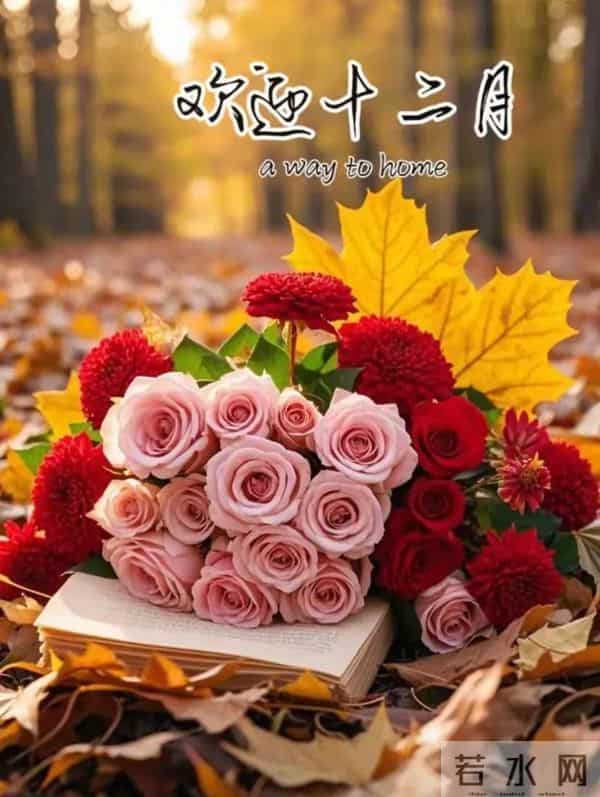 十二月你好 开启十二月 听雪落的声音等新年的烟火 十二月温馨问候语