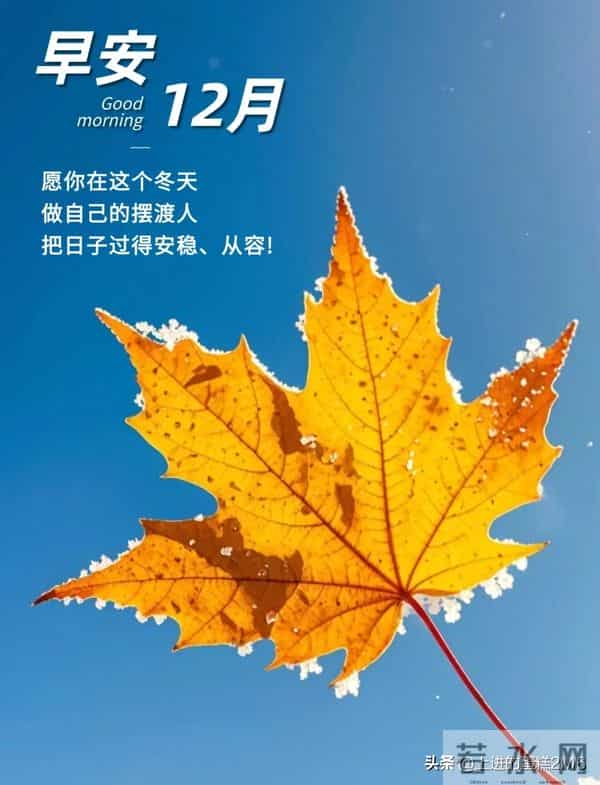 早安十二月！愿您这一年的付出，都在这最后的时光里绽放光芒！