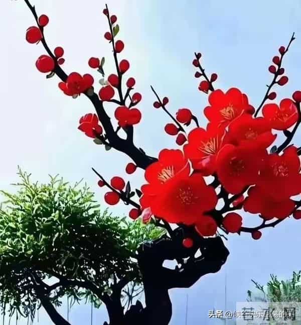 德行传家，是塑造富贵家族的命运。