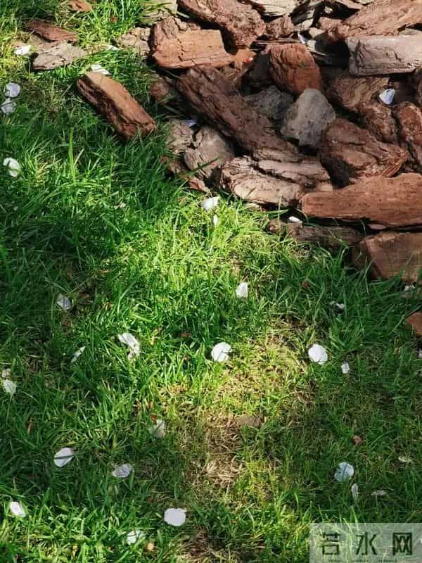 25岁湖南帅哥曾中阳去世，结婚前一天与女友一同去世，开3家店铺