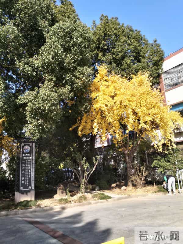 不要对任何人无条件付出，包括你的兄弟姐妹，一贱破九贵