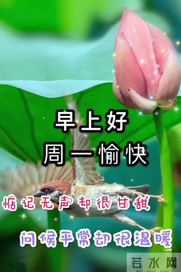 2025年12月1日早上好 ！早安精美图片 ， 周一快乐 早安吉祥！