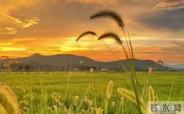 人到中年，最大的觉醒就是，不期待，不依赖，不指望，不多想