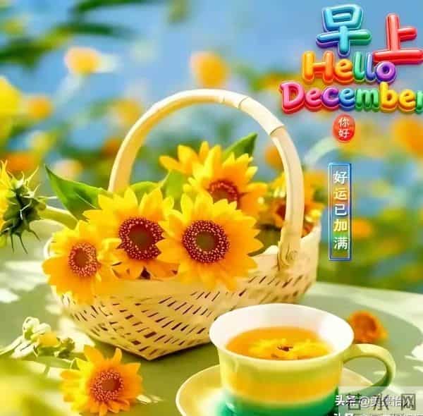 2025.11.30日周末早安祝福美图