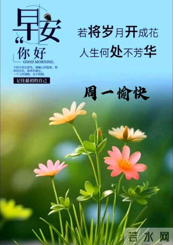 2025年12月1日早上好 早安周一愉快 早安温馨精美美图祝福语 早上好