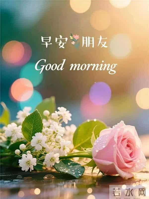 20句清晨暖心问候，满含牵挂与祝福，愿你健康相伴、幸福常存