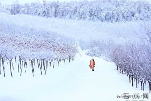 适合12月1号发圈的文案，太有感觉了！