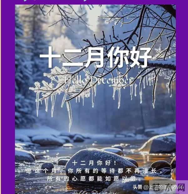 早安十二月！愿您这一年的付出，都在这最后的时光里绽放光芒！