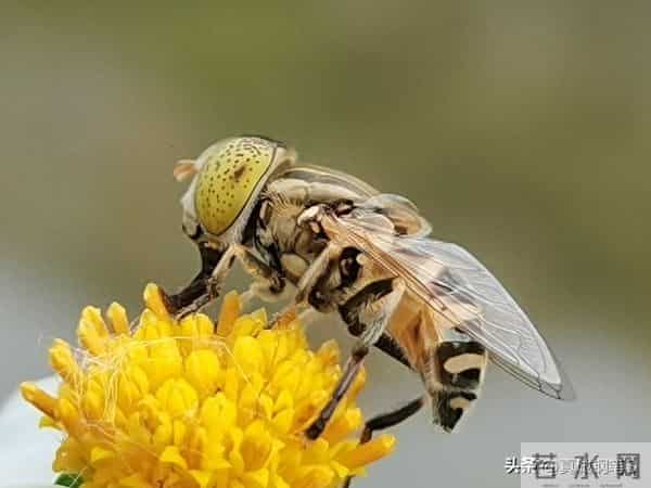 2026财富新赛道，谁将笑到最后？