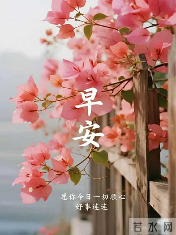 早上好早安祝福美图-浅冬生寒意，微光暖人心