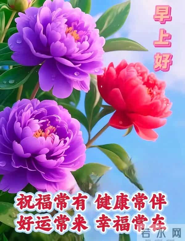 11月30日周日早安 早上好图片最新今天 温馨淡雅的周日早安美图