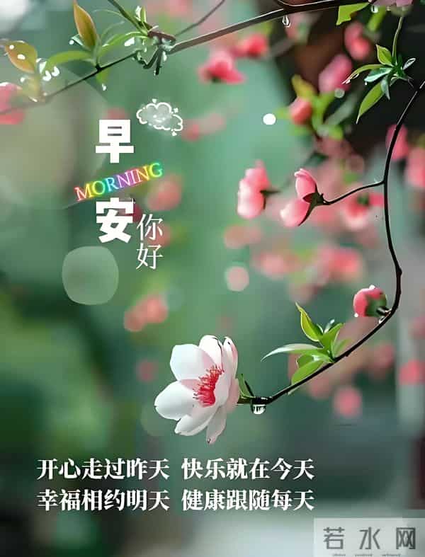 朋友圈早安文案，新的一天，愿你不只抬头望见灯塔的光，更能迈出