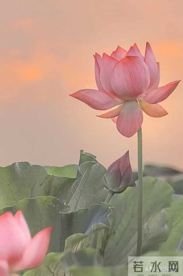 今天起转运！按下霉运清零键，祝你好运连连人生开挂！