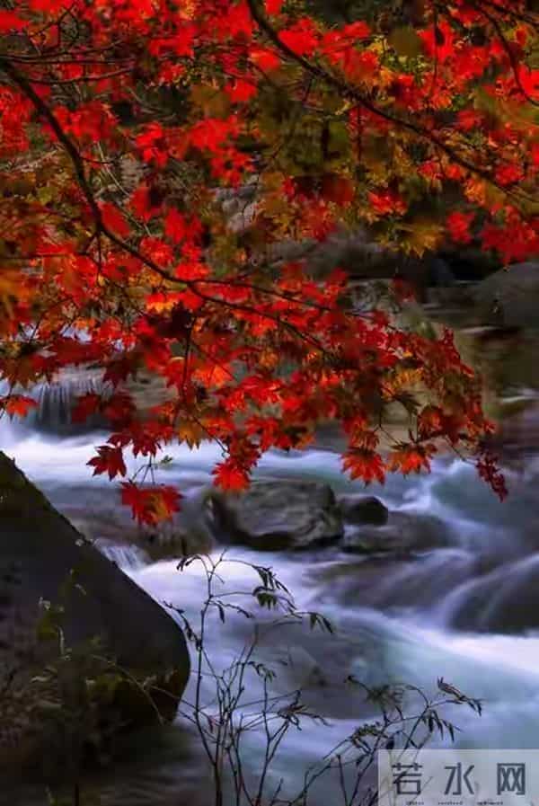 生活，半是凡尘烟火色，半是岁月素心痕