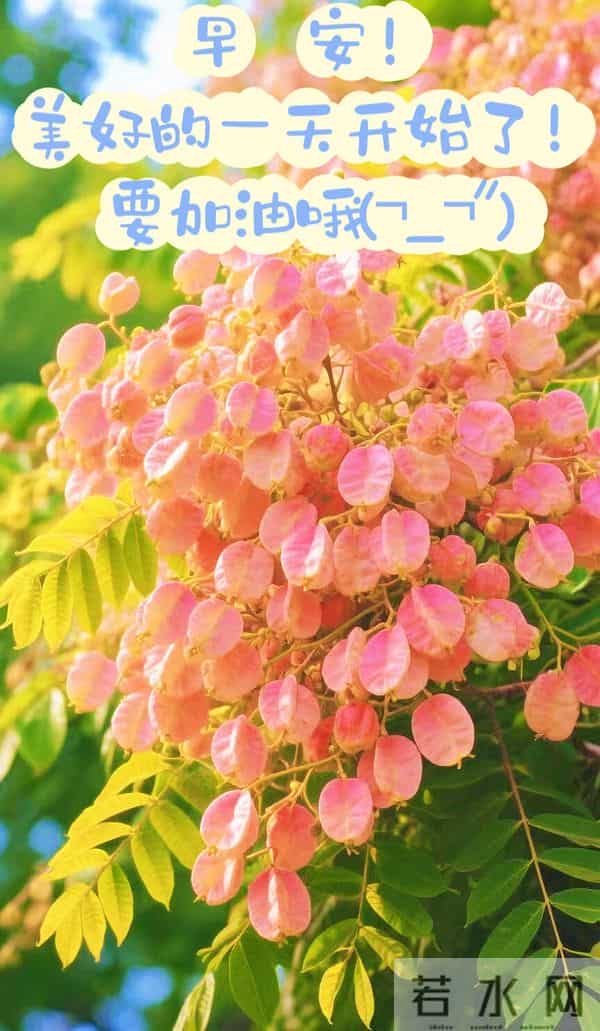 19句清晨温柔寄语，岁月温良，暖意常伴，愿你朝朝有光岁岁无忧