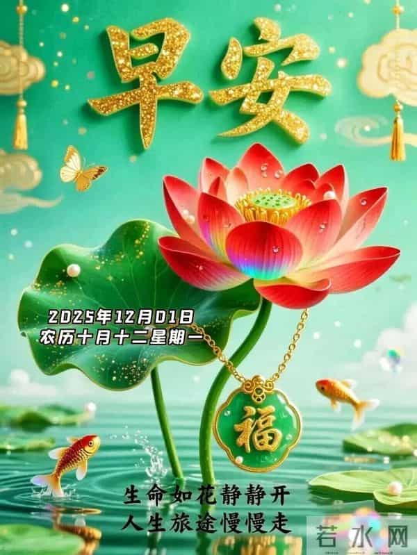 2025年12月1日早上好 十二月焕新 早安精美图片 周一早安 愿平安相伴