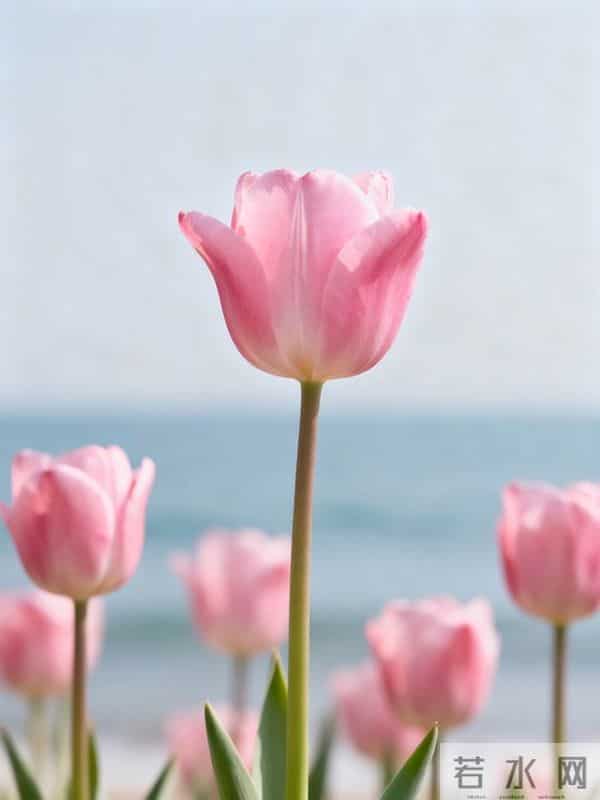 搞定女人的“千古定律”：不是花钱讨好，而是做好这件“笨事”