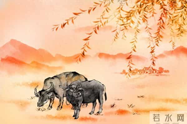 属牛人，泪洒十二月，一个曾经为你“赴汤蹈火”之人将悄然离开