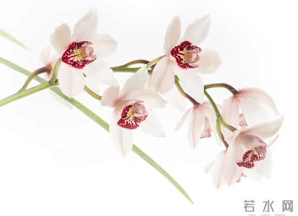 拿下一个女人的关键：墨菲定律