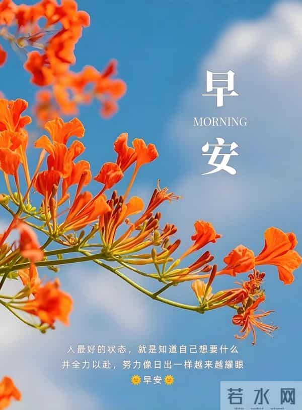 十一月再见十二月你好！