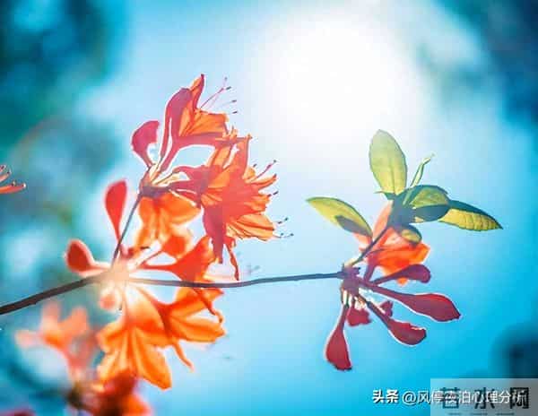 经历过背叛的婚姻：夫妻之间，只是“假性和解”