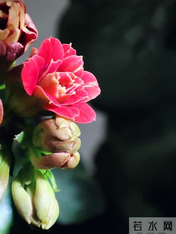 事实证明，女人想你了，会发出这样的信号