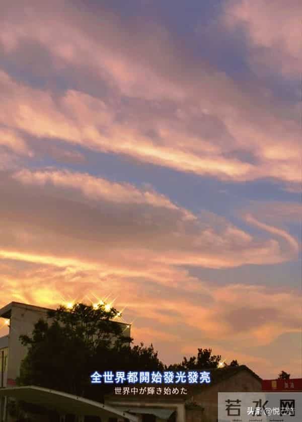 老天自会指引你，无需用力走向任何人，只管坚信一切发生皆利于我