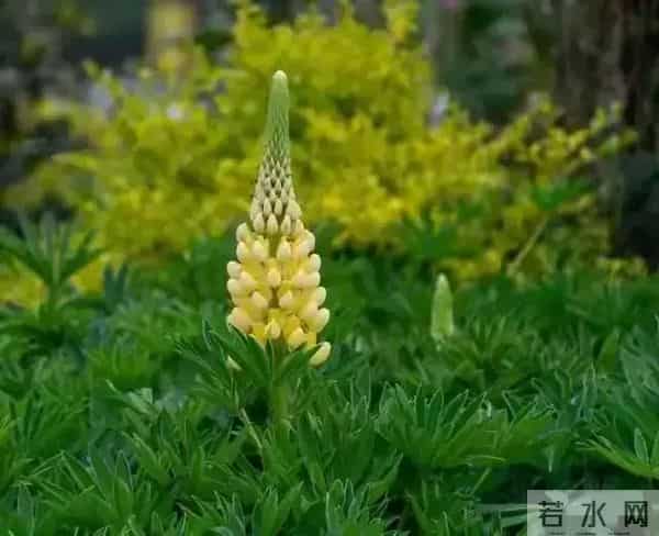 两性关系：多数女人愿意和一个男人长期保持联系，原因往往就5点