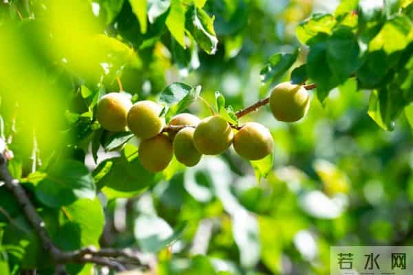 我工资15000全给母亲,老婆月薪8500却天天下馆子，我在家饿到发火