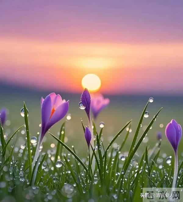 女人爱到憋不住，才会说这3句话（男人别傻听不懂）