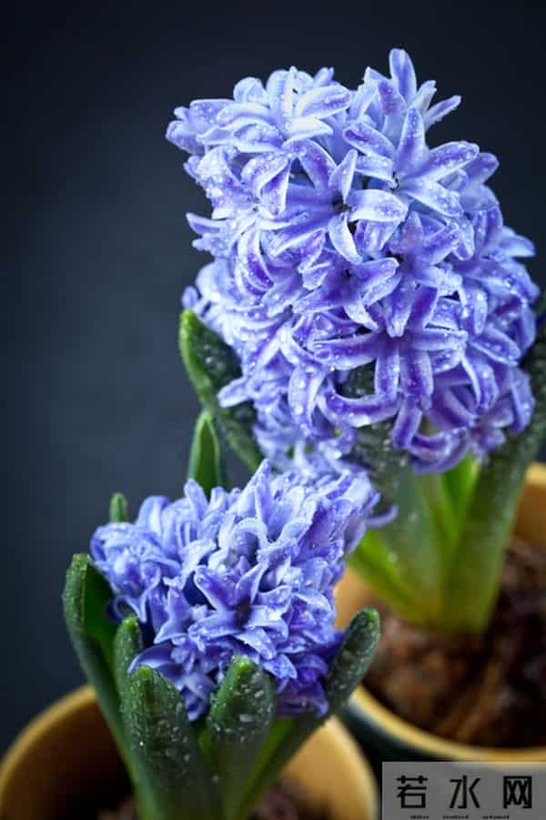 男人嫌弃你了，是有征兆的