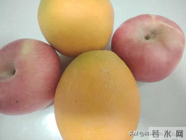 做人做到这个境界，才是真成功！ 太精辟了！