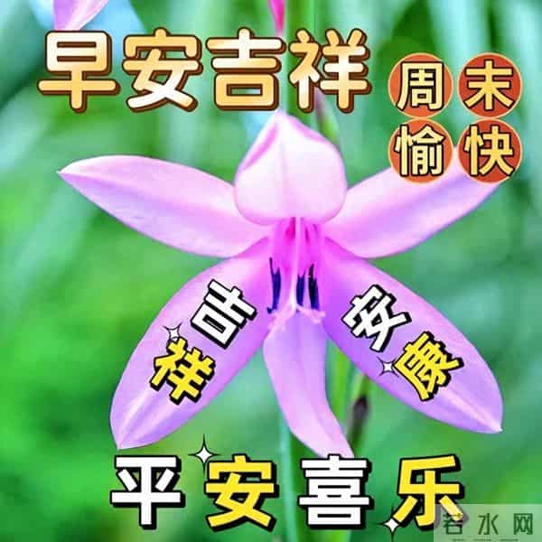 清晨寄语每日一句祝福，精辟早上好问候语，阳光灿烂，笑口常开