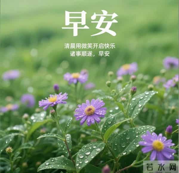 「11月30日」15张冬日早安图片：冬日有梦，幸福安宁