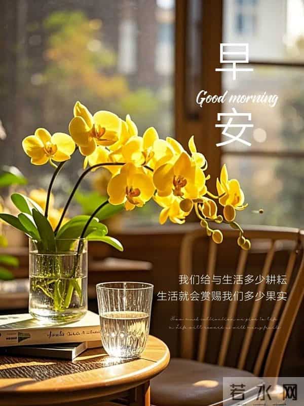 20句清晨暖心问候，满含牵挂与祝福，愿你健康相伴、幸福常存