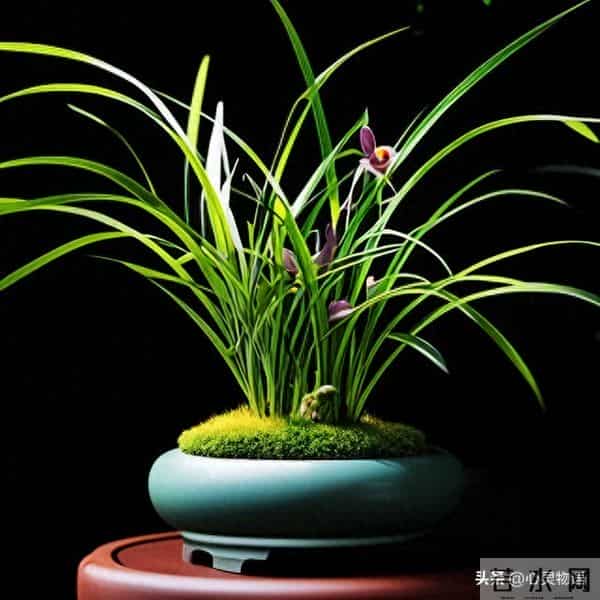 男人一碰女人这里，她就立马投降的两处“死穴”