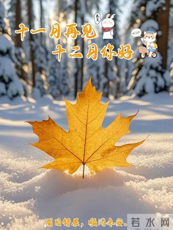 十二月,临窗观雪,围炉煮茶,念一程风花雪月,书一段烟火诗行。