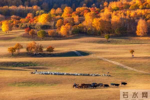 告诉你，允许一切发生，心便无所畏惧，活一天，便要开心一天。