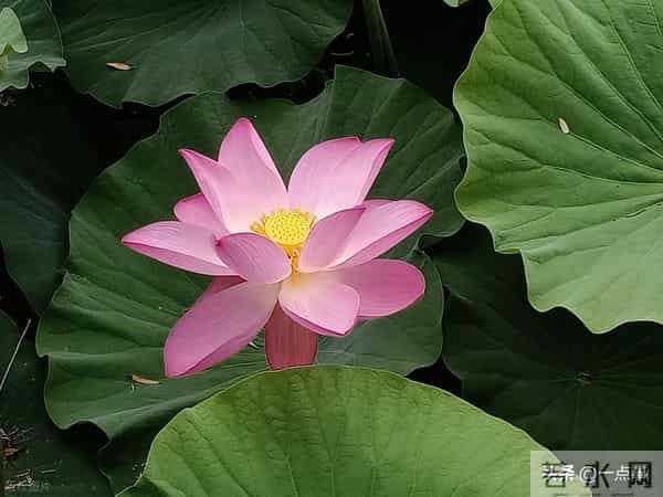 我回一趟老家知道，攒有100万的家庭里，大多有两种人，三种智慧