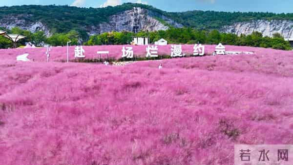桃花杀疯了！月老偏爱的星座，新欢旧爱排队来