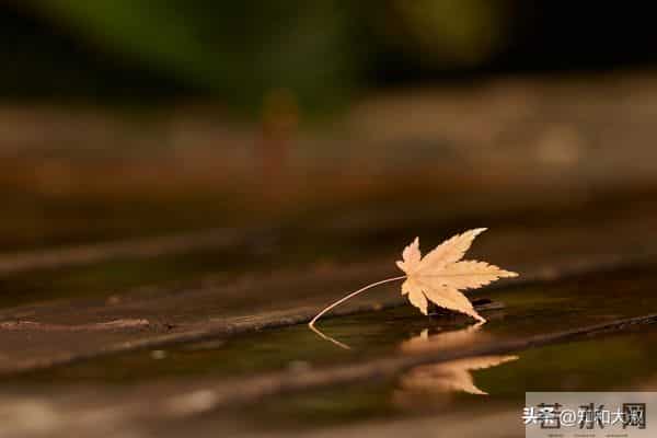 一个女人，越喜欢做这3件事，越说明她见过世面、不简单